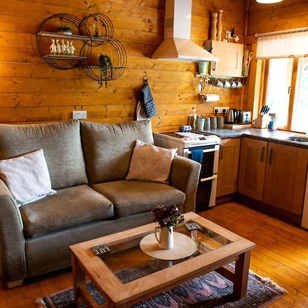Cherry Cabin - Little Log Cabin In Wales Bettws Cedewain Eksteriør billede