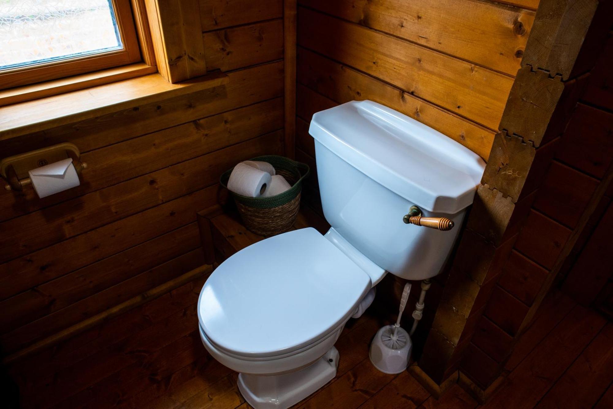 Cherry Cabin - Little Log Cabin In Wales Bettws Cedewain Eksteriør billede